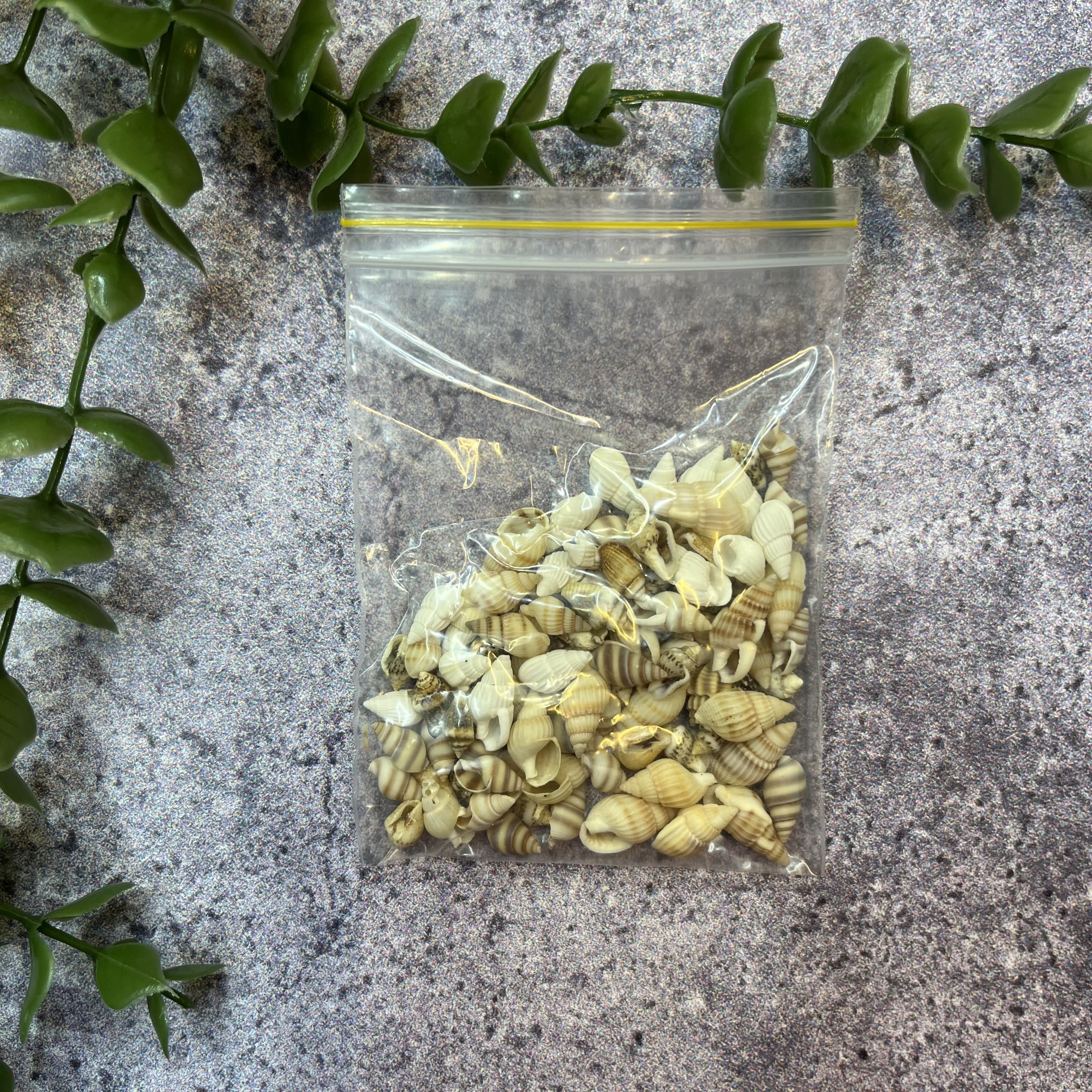 صدف ریز مخلوط