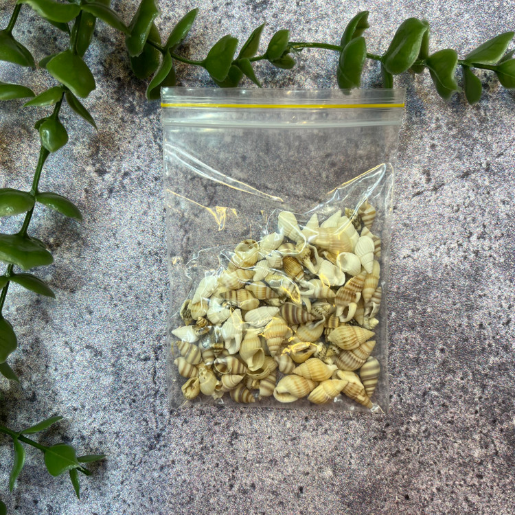 صدف ریز مخلوط