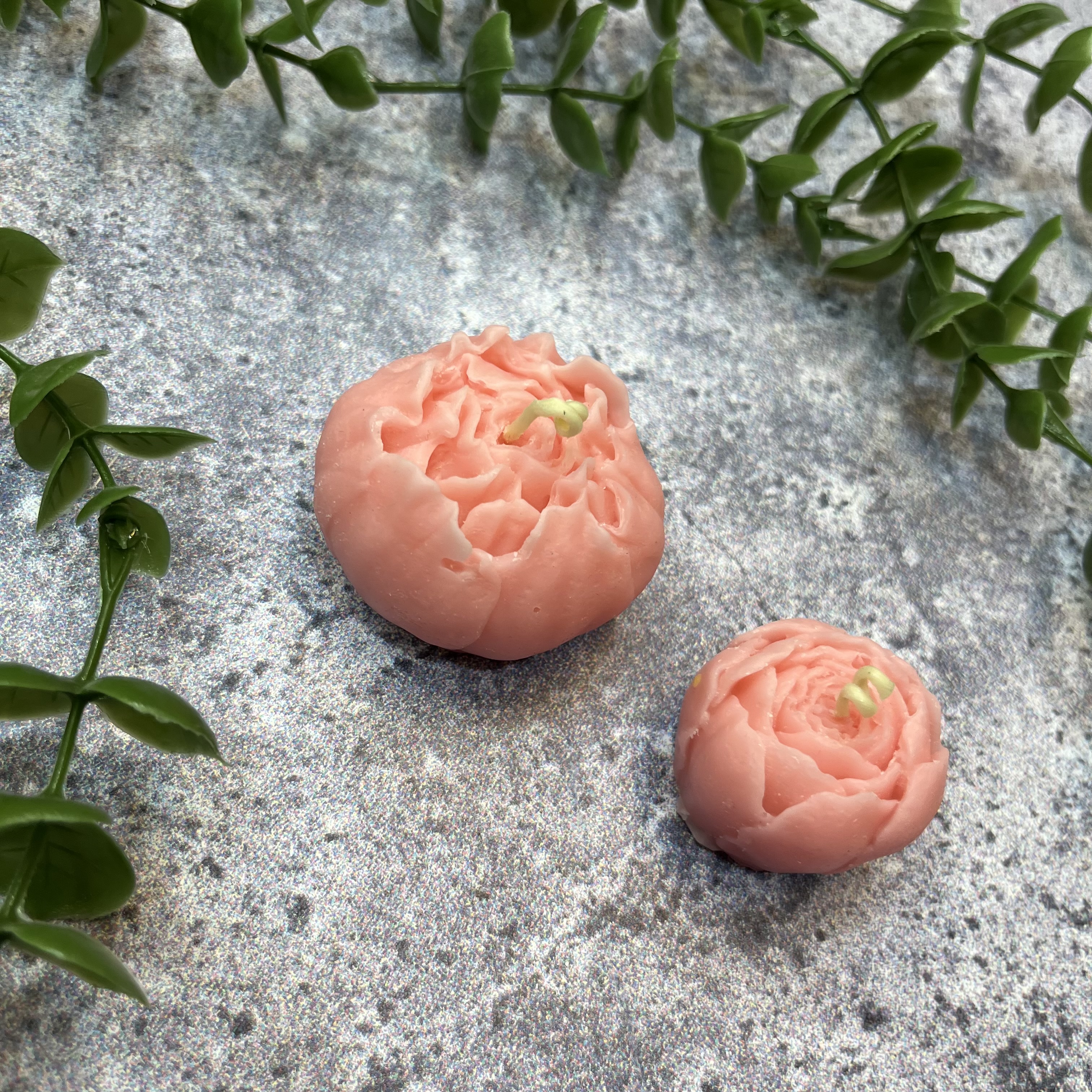 پیونی ۳و ۴سانت