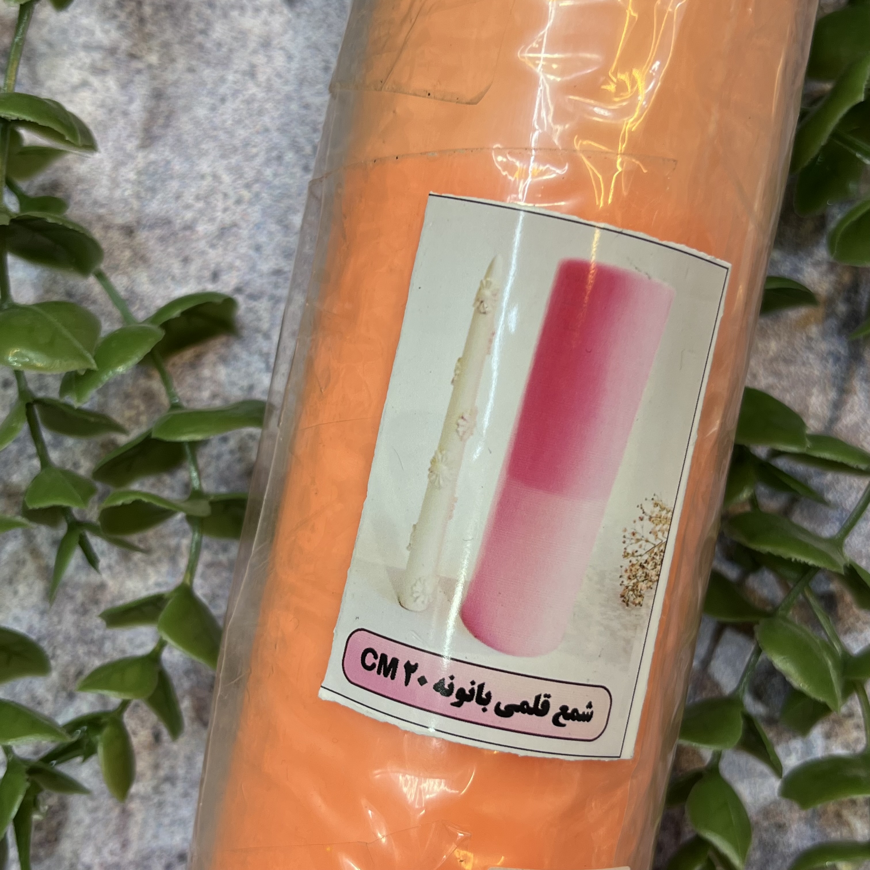 قالب بابونه