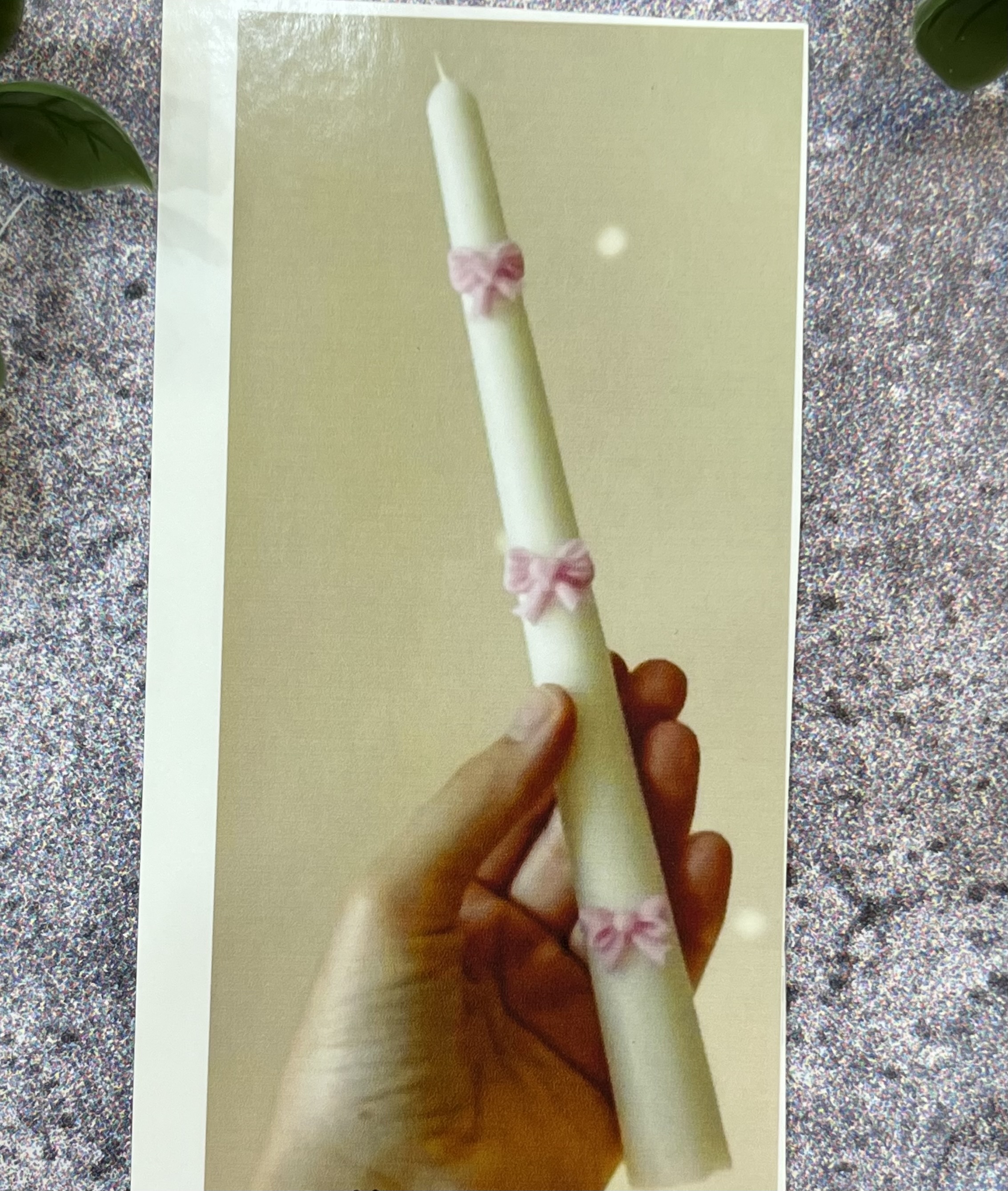 قالب پاپیون